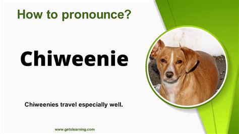 How to Pronounce Chiweenie - YouTube