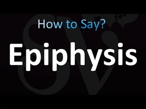 How to Pronounce Epiphysis - YouTube