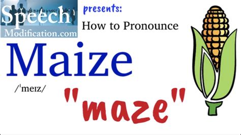 How to Pronounce maize PronounceHippo.com