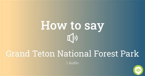 How to Pronounce teton PronounceHippo.com