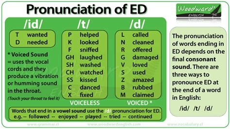 How to Pronounce the ED Ending Correctly in English ESL Buzz