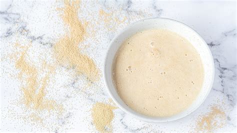 How to Proof Yeast Before You Start to Bake - Southern Living