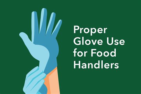 How to Properly Use Food Handling Gloves My Glove Depot