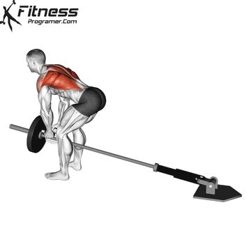How to Properly Use The T-Bar Row Machine (Exercise.
