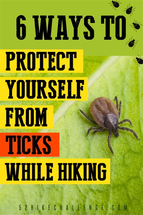 How to Protect Yourself from Ticks When Out Hiking