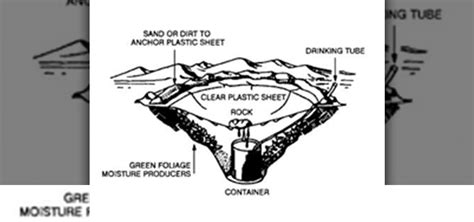 How to Purify Urine for Drinking with an Emergency Solar Still