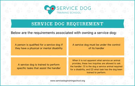 How to Qualify for a Service Dog