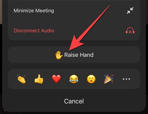 How to Raise a Hand In Zoom