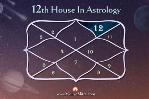 How to Read Houses in Astrology - Vidhya Mitra