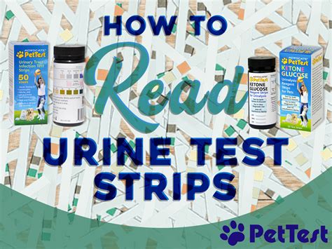 How to Read Urine Test Strips PetTest by Advocate