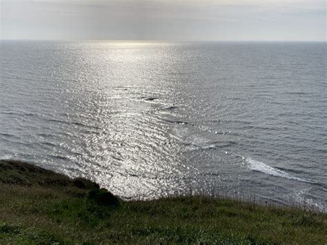 How to Read Wave Patterns at the Coast The Natural Navigator