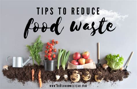 How to Reduce Food Waste and Why It Matters
