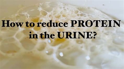 How to Reduce Protein in the Urine TIPS YouTube