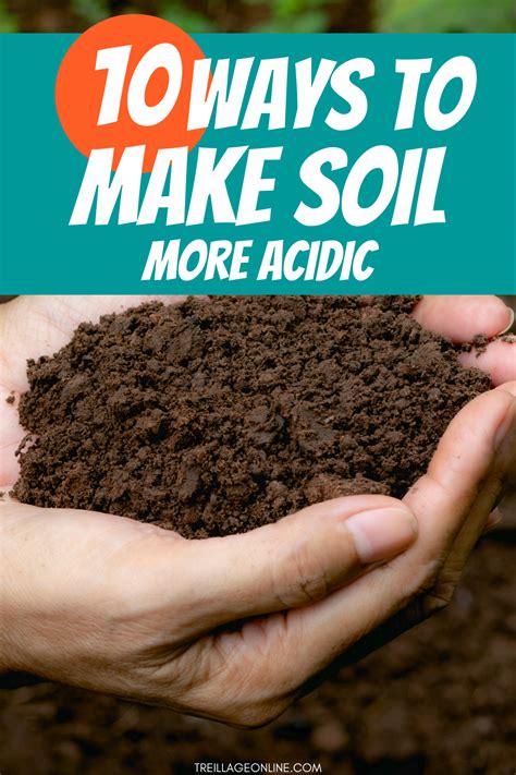 How to Reduce Soil Acidity - Dirt Connections