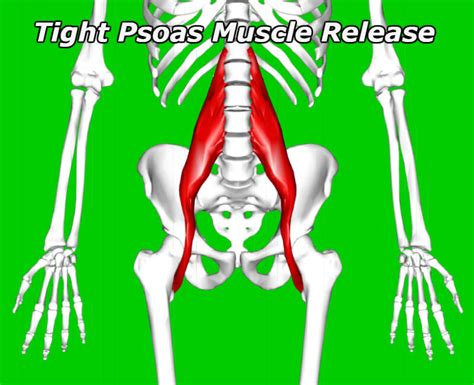 How to Release Tight Psoas Muscles