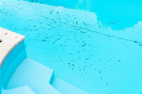 How to Remove Dead Algae From Pool Bottom