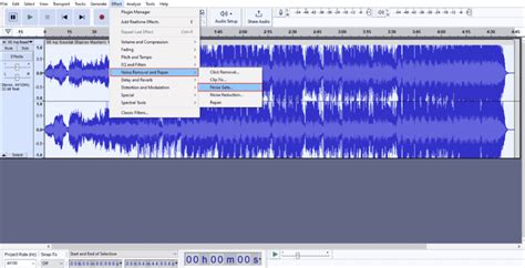 How to Remove Echo from Audio in Audacity - TechCult