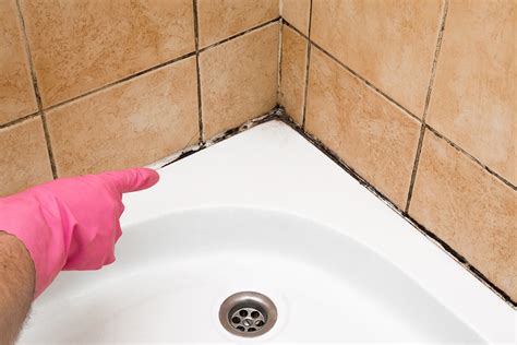 How to Remove Mold from Shower Caulk or Tile Grout Blog