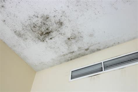 How to Remove Mould from a Bathroom Ceiling