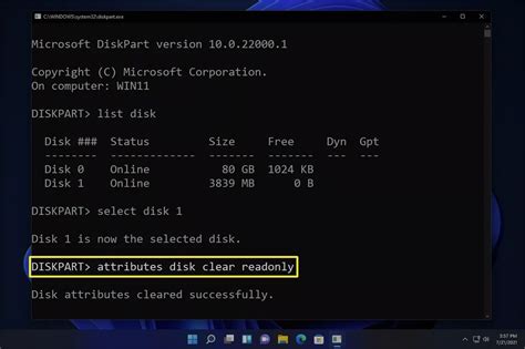 How to Remove Write Protection on Windows 11