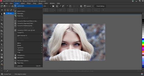 How to Remove the Background in CorelDRAW