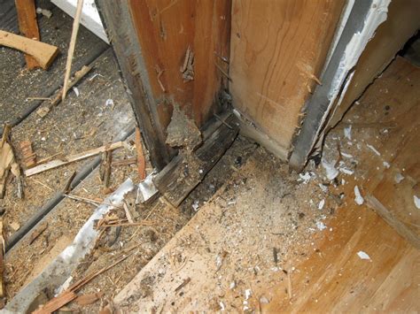 How to Replace Floor Sills That Were Rotted by Carpenter Ants