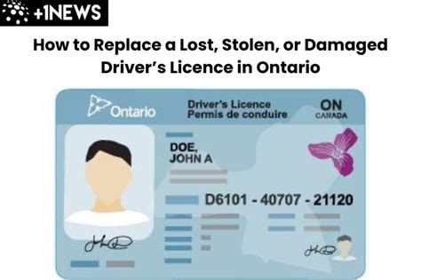 How to Replace a Lost, Damaged, or Stolen Driving Licence - THE …