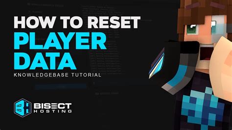 How to Reset Player Data on your Minecraft server