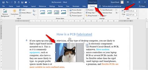 How to Resize an Image in Word OfficeBeginner