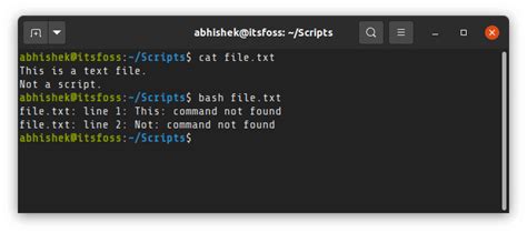 How to Run Shell Scripts in Linux [with Detailed Explanation for ...