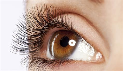 How to Safely Get the Long Eyelashes You Want