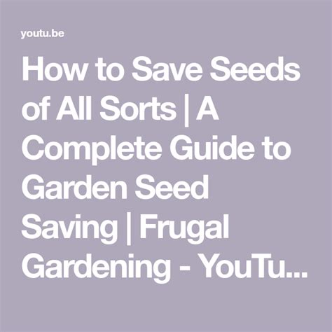 How to Save Seeds of All Sorts A Complete Guide to Garden …