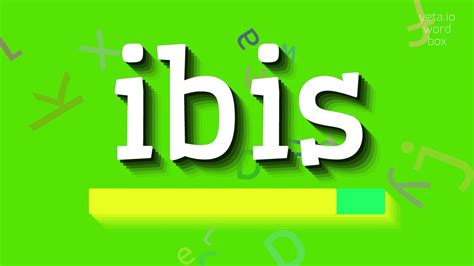 How to Say Ibis: A Comprehensive Guide