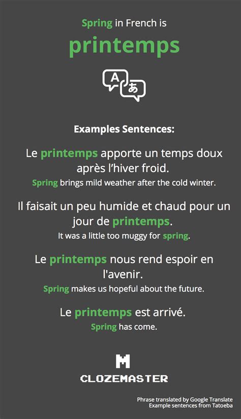 How to Say Spring in French Clozemaster