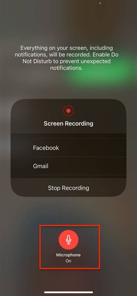 How to Screen Record on FaceTime