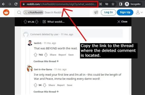 How to See Deleted Posts on Reddit - Followchain