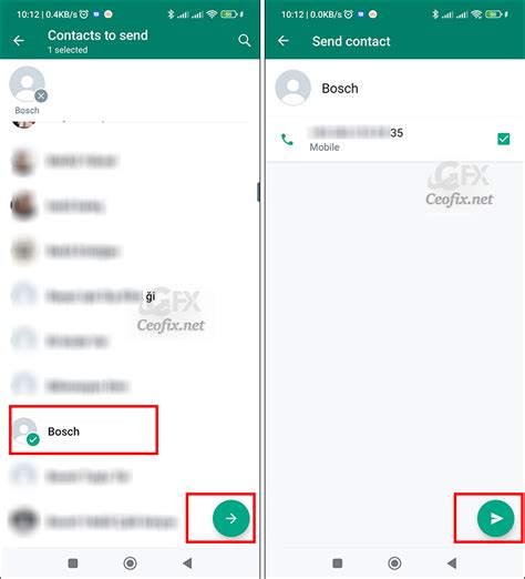 How to Share a Contact on WhatsApp