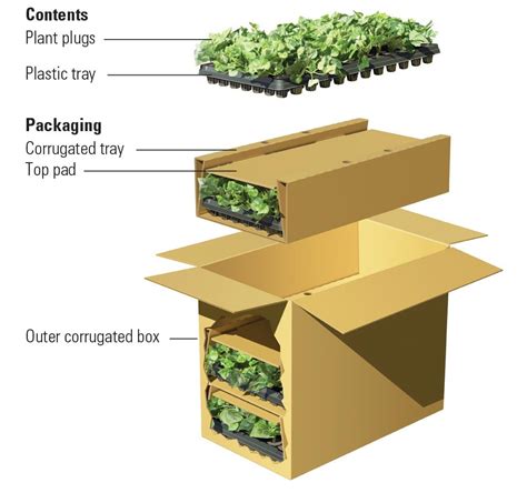 How to Ship Plants Transporting Plants with Roadie