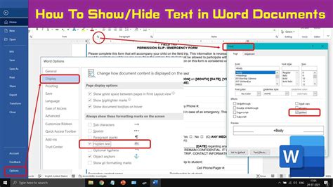 How to Show and Hide Text in Microsoft Word Tutorial YouTube