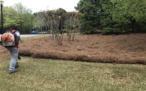 How to Spread Pine Straw like a Pro - Cumming & Alpharetta Lawn …