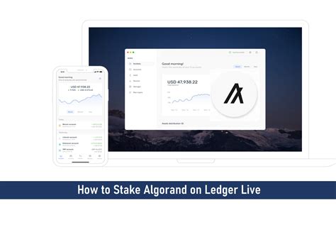 How to Stake Algorand with Ledger Live: A Step-by-Step Guide