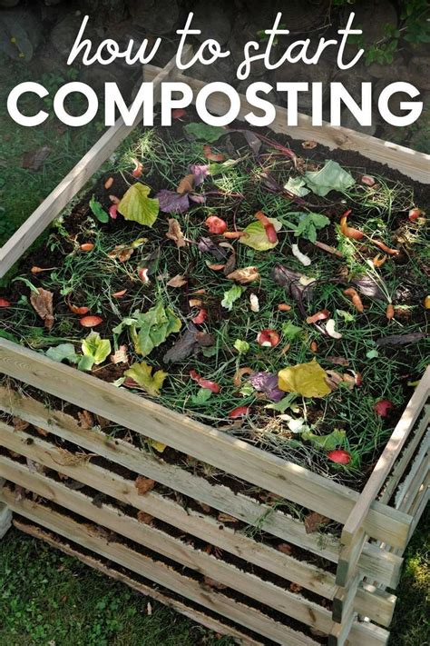 How to Start Composting How to start composting, Diy compost, Garden