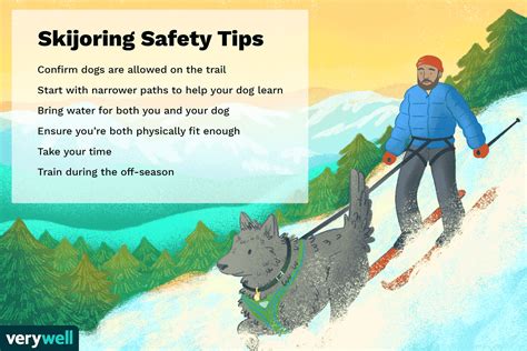 How to Start Skijoring Dog Commands Equipment Safety Tips