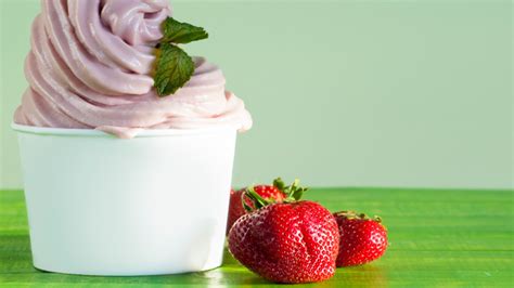 How to Start a Frozen Yogurt Business TRUiC