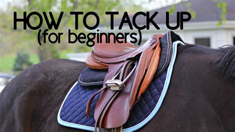 How to Tack up a Horse for English Riding