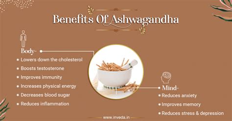 How to Take Ashwagandha 1StopWellbeing