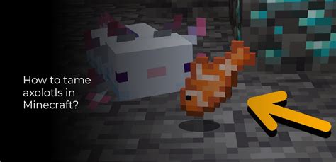 How to Tame Axolotls in Minecraft