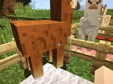 How to Tame Llamas in Minecraft - Gaming Blogs