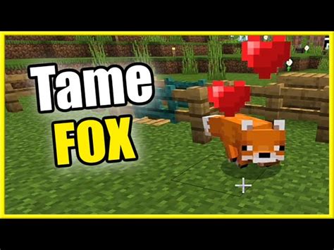 How to Tame a Fox in Minecraft