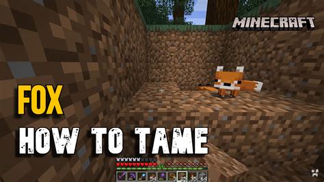 How to Tame a Fox in Minecraft Make It Your Pet